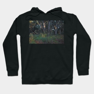 Greens Bush #7 Hoodie